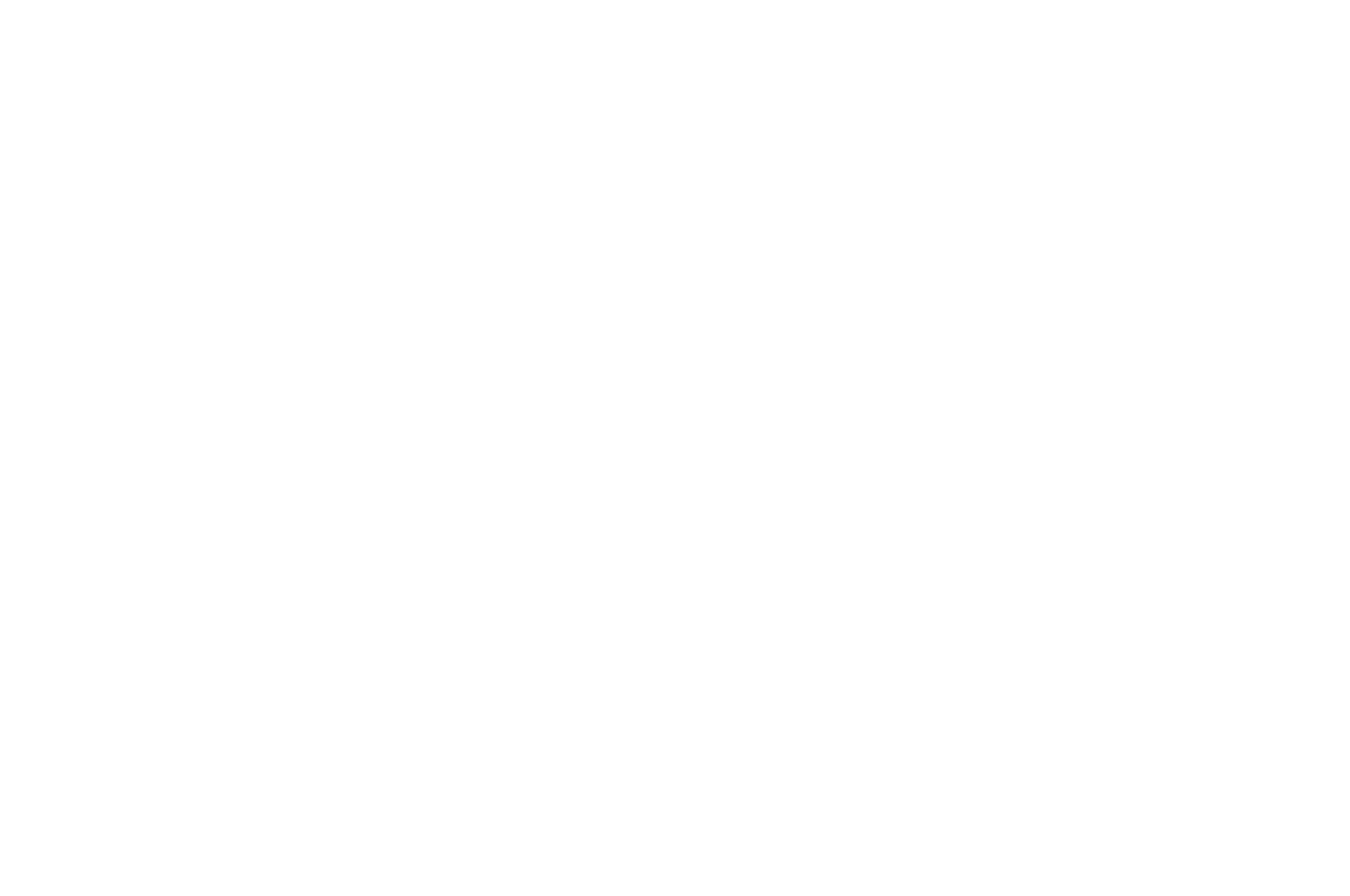 SILVER AWARD - VIRGIN SPRING CINEFEST - CALCUTTA